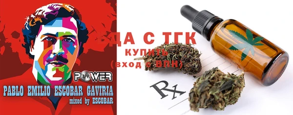 СК Алексин