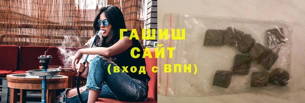 СК Алексин