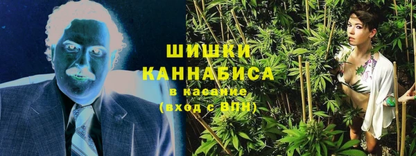 гидра Аркадак
