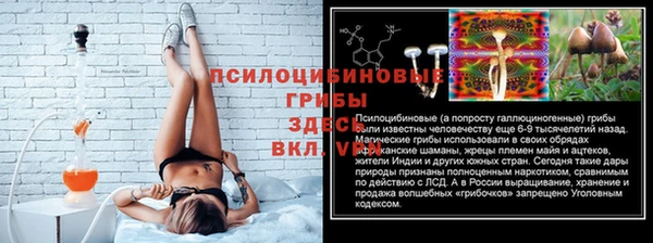 гидра Аркадак